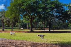Sports-Park-Dogs-scaled