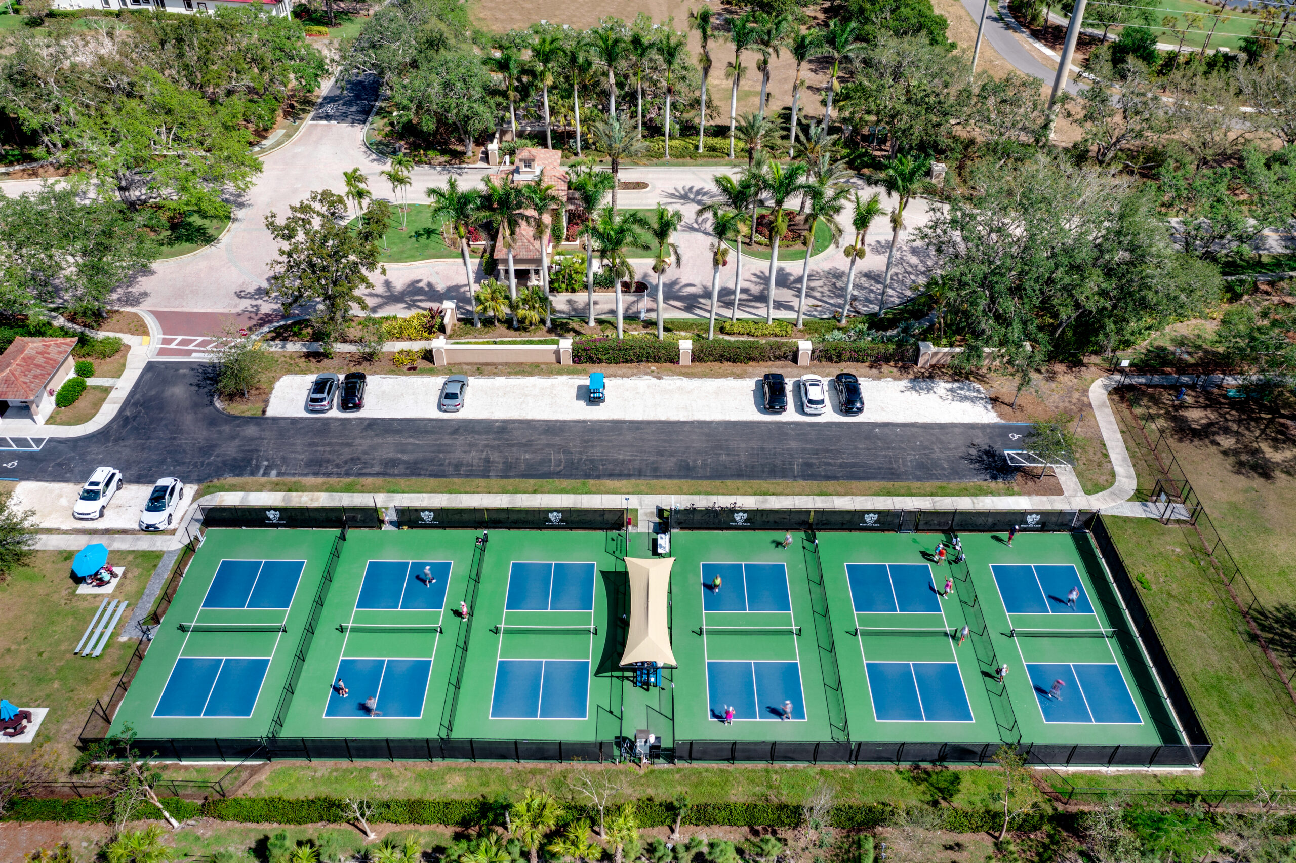 Pickleball 1